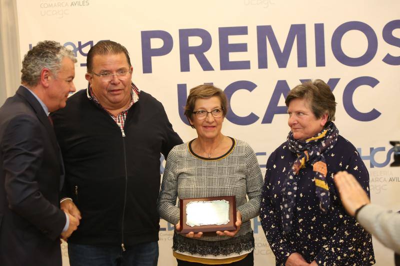 Fotos: Entrega de premios de la Ucayc a los &#039;mejores embajadores&#039; de Avilés