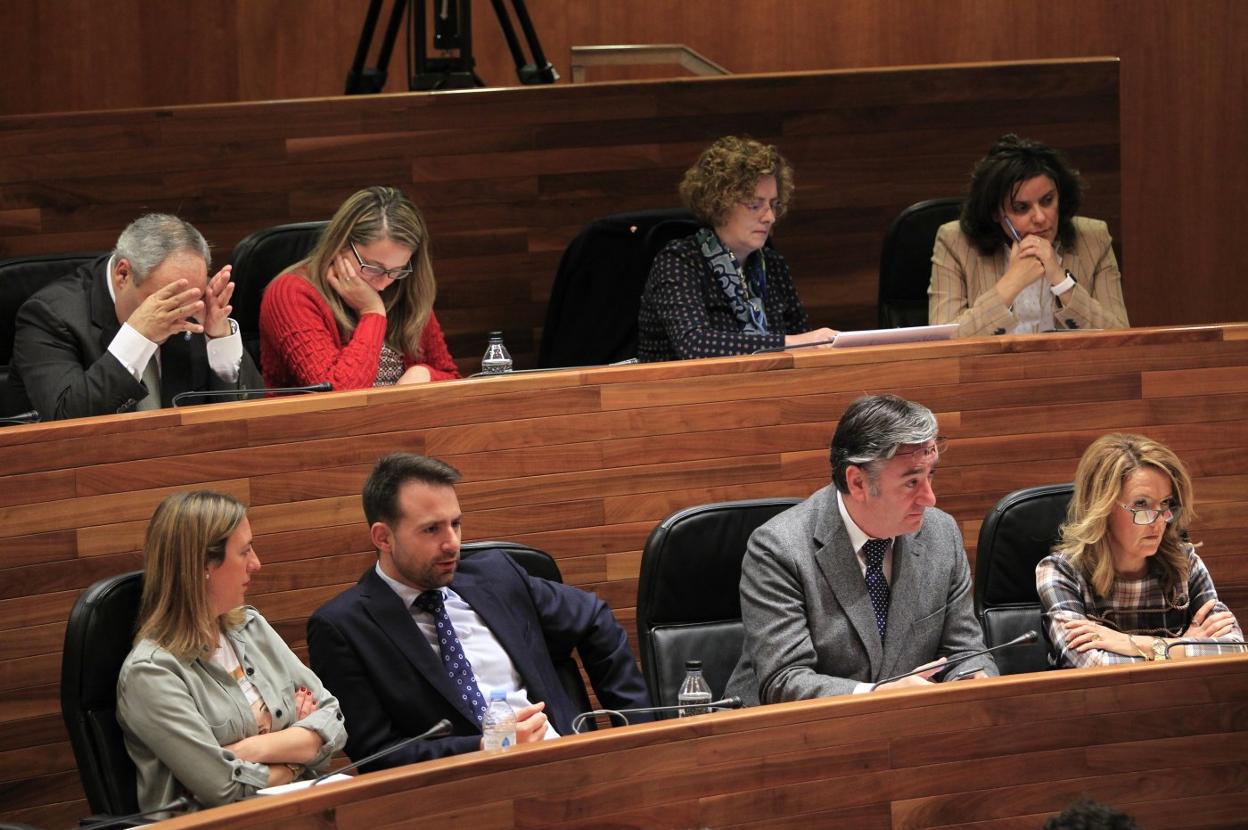 Álvaro Queipo, segundo por la izquierda en la primera fila, durante el Pleno. 