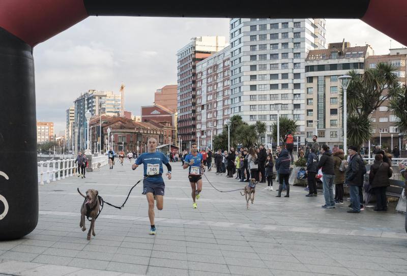 Este sábado tuvo lugar, en el muro de San Lorenzo, la carrera contra el sida de la Asociación Abierto Hasta el Amanecer en colaboración con el Comité Ciudadano Antisida con el objetivo de dar visibilidad sobre el virus VIH y concienciar a la población de su existencia.