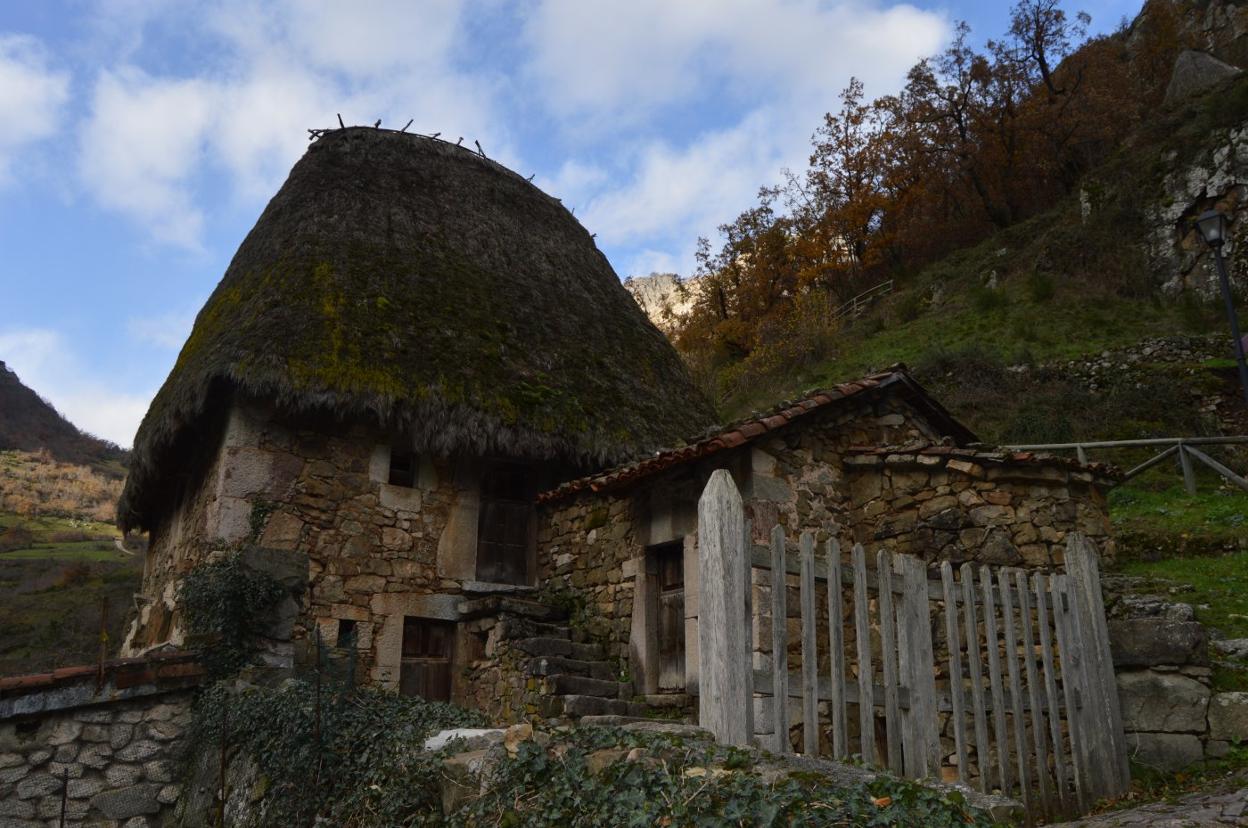 Una casa con teito de escoba que se conserva en el pueblo somedano de Veigas. 