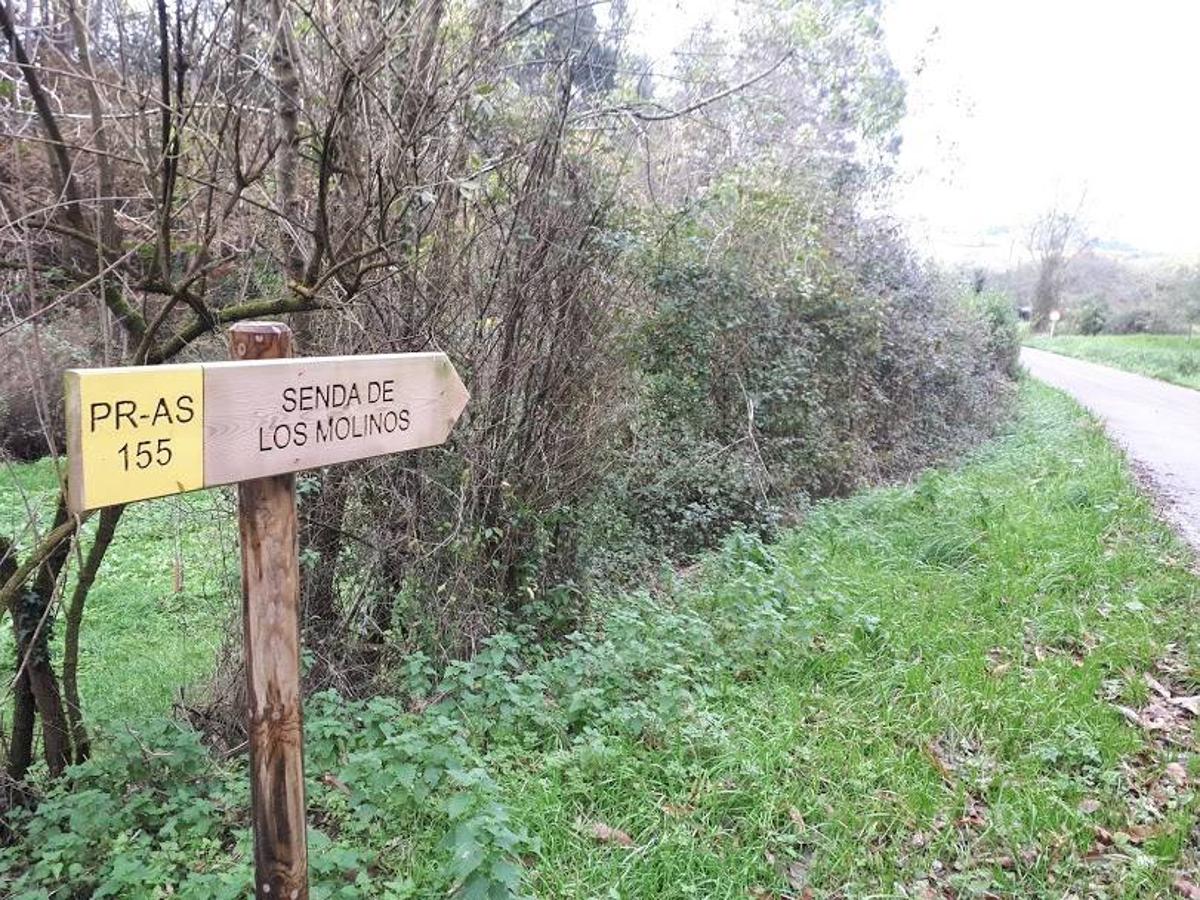 Fotos: Ruta en bici entre molinos