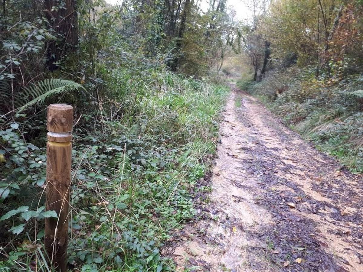 Fotos: Ruta en bici entre molinos