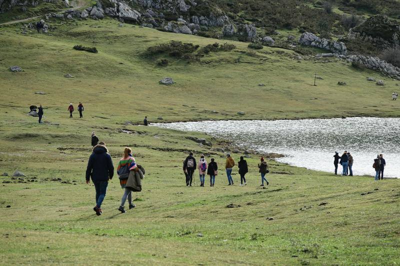 Los visitantes disfrutan de la región en uno de los fines de semana más esperados del otoño. 