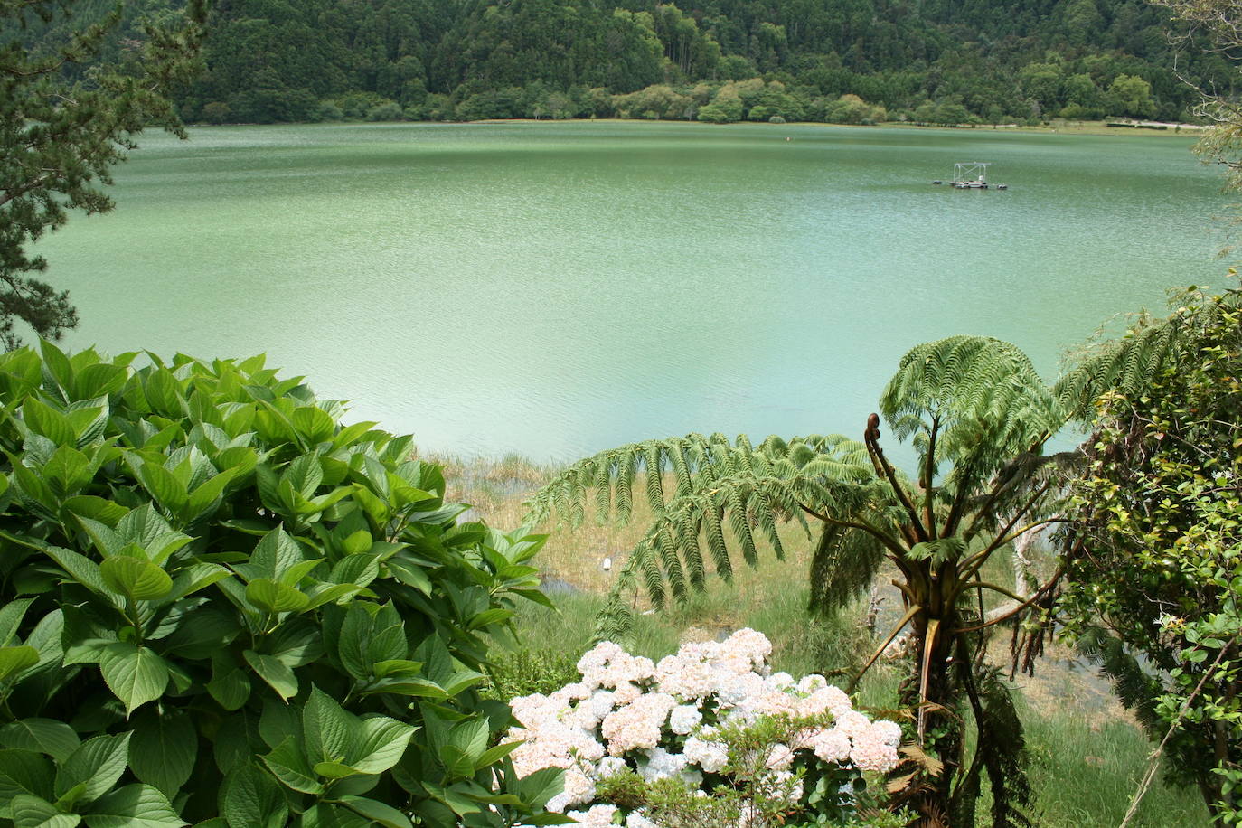 Sao Miguel (Azores, Portugal)