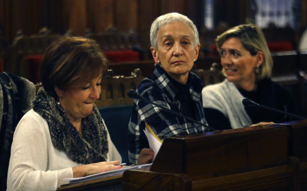 Carmen Suárez, en la comisión parlamentaria. 