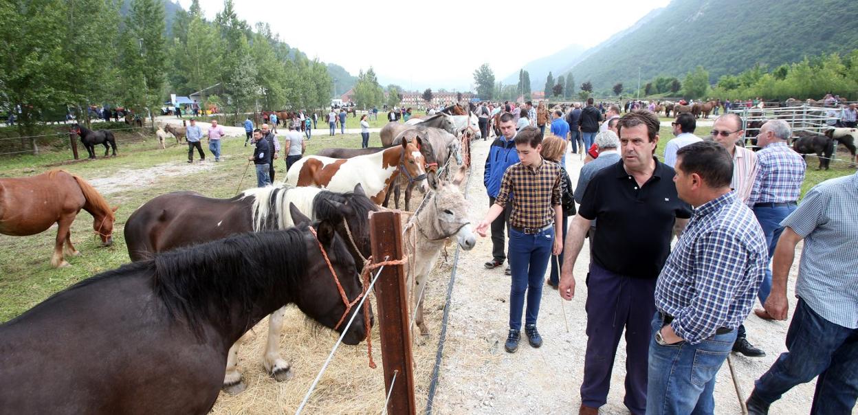 Las tres últimas ediciones de la feria de La Ascensión tuvieron lugar en el polígono de Olloniego. 