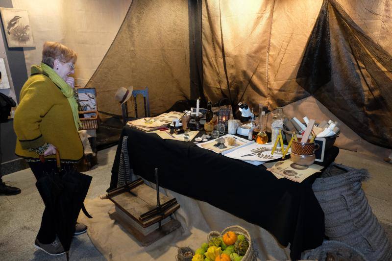 El espacio divulgativo estrena como novedades una réplica del faro del cabo Torres que se ubica en el centro del laberinto de laurel. El Botánico ha presentado también nuevas actividades como las visitas guiadas sobre las especies invasoras, así como un belén monumental y muchos talleres dirigidos a todo tipo de público.
