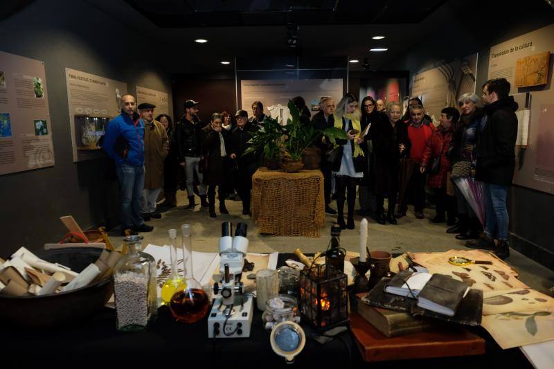 El espacio divulgativo estrena como novedades una réplica del faro del cabo Torres que se ubica en el centro del laberinto de laurel. El Botánico ha presentado también nuevas actividades como las visitas guiadas sobre las especies invasoras, así como un belén monumental y muchos talleres dirigidos a todo tipo de público.