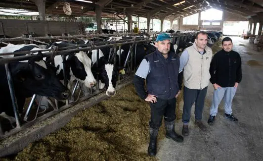 Emilio, Alfonso y Juan Manuel Fernández, en una de las naves de su ganadería, La Corona. :: Marieta