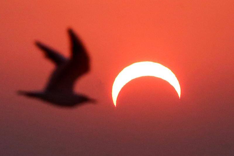 Miles de personas pudieron observar este jueves un eclipse anular de Sol, también conocido como «anillo de fuego» por el círculo luminoso que genera, en varios países asiáticos como Arabia Saudí, India, Sri Lanka, Singapur, Indonesia y Filipinas. Este tipo de eclipse se produce cuando la Luna está más alejada de la Tierra y se coloca justo delante del sol, pero no lo cubre totalmente, lo que crea su característico anillo de fuego.