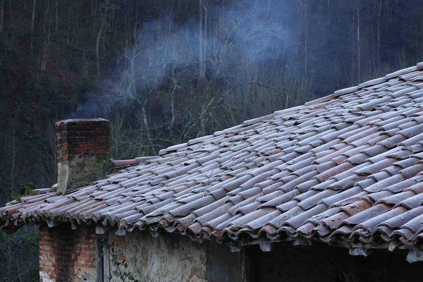 Asturias ha registrado heladas en las primeras horas de la mañana.