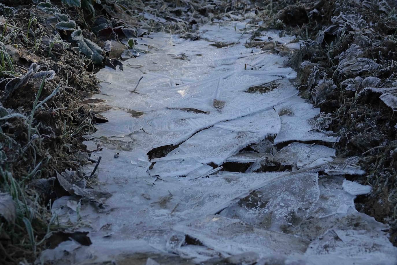 Asturias ha registrado heladas en las primeras horas de la mañana.