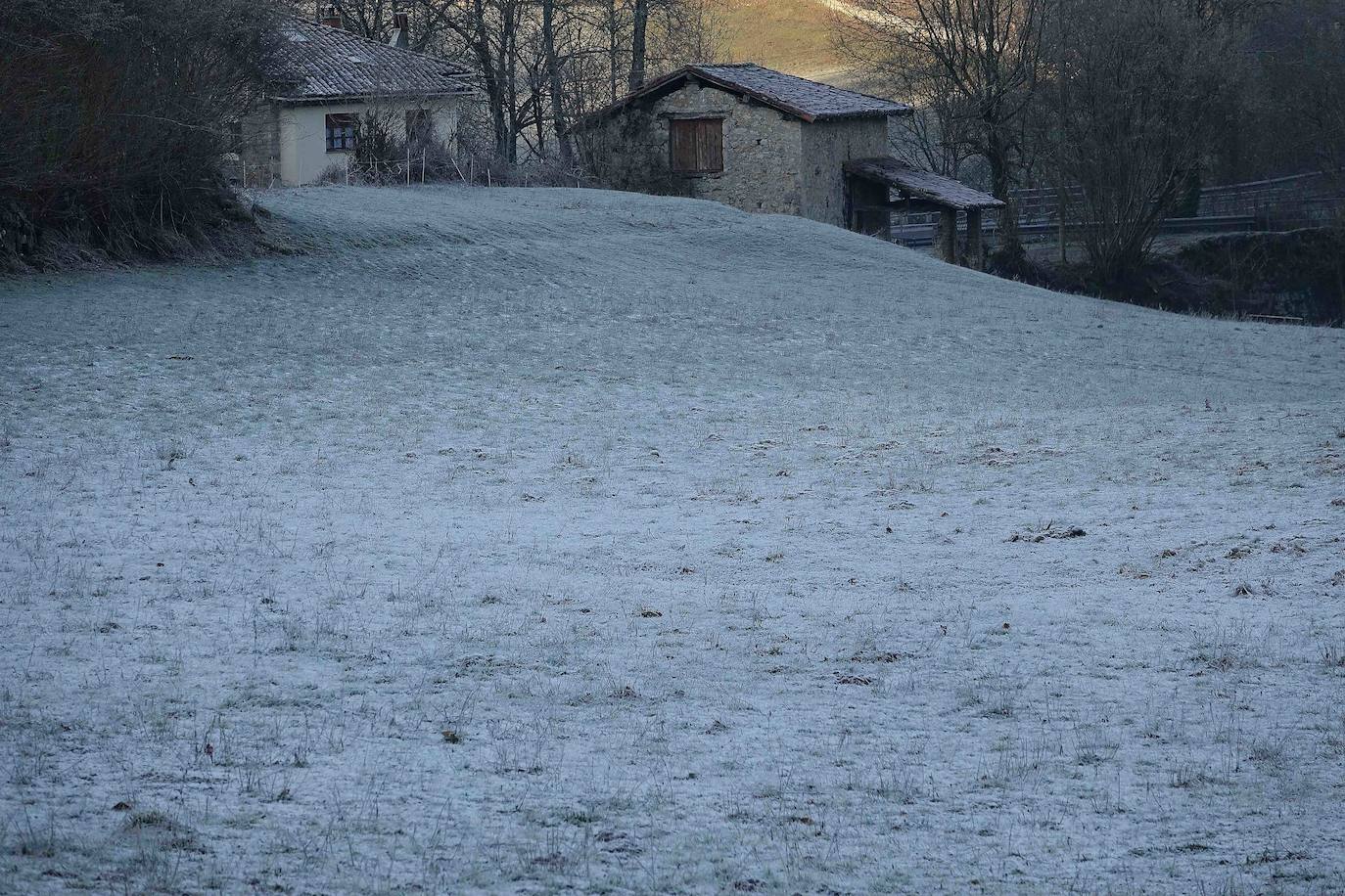 Asturias ha registrado heladas en las primeras horas de la mañana.