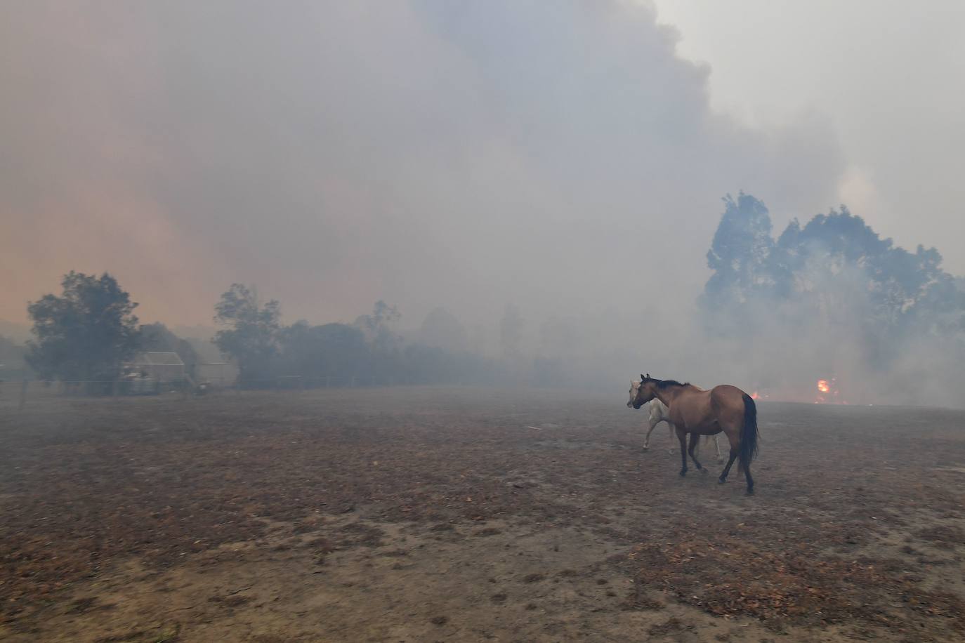 Los incendios han dejado este martes al menos dos muertos y cinco desaparecidos