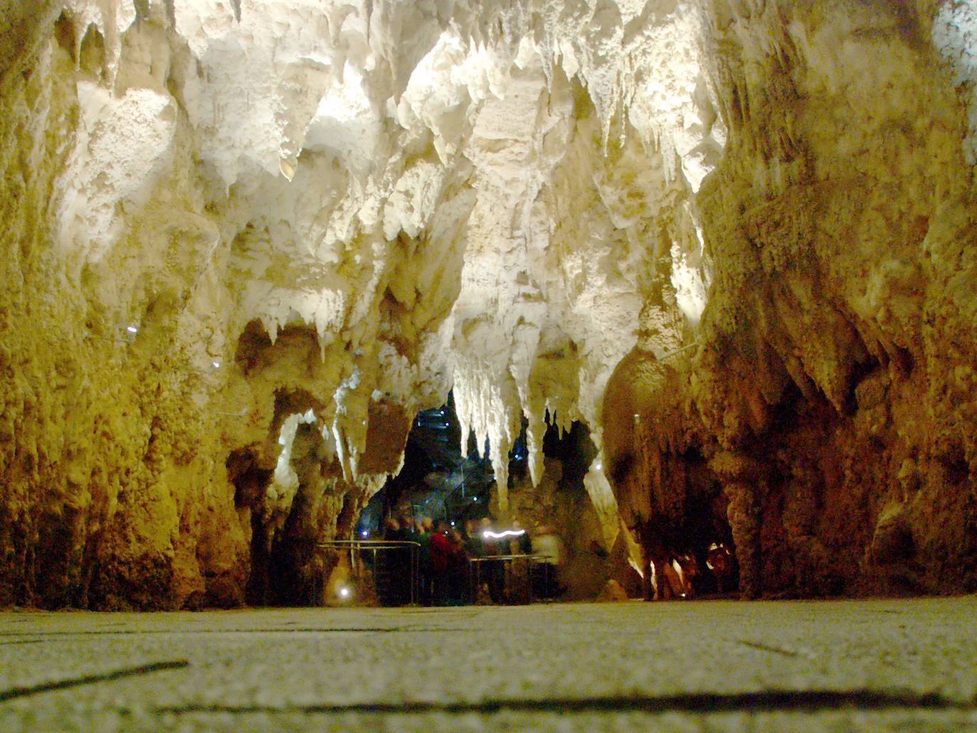 Waitomo (Nueva Zelanda)