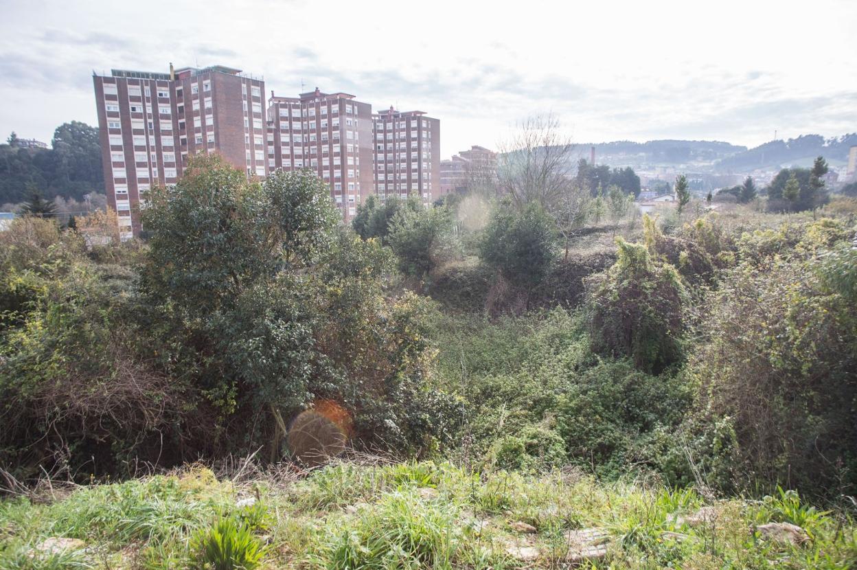 Terrenos en los que se proyecta la construcción de cuatro edificios. 