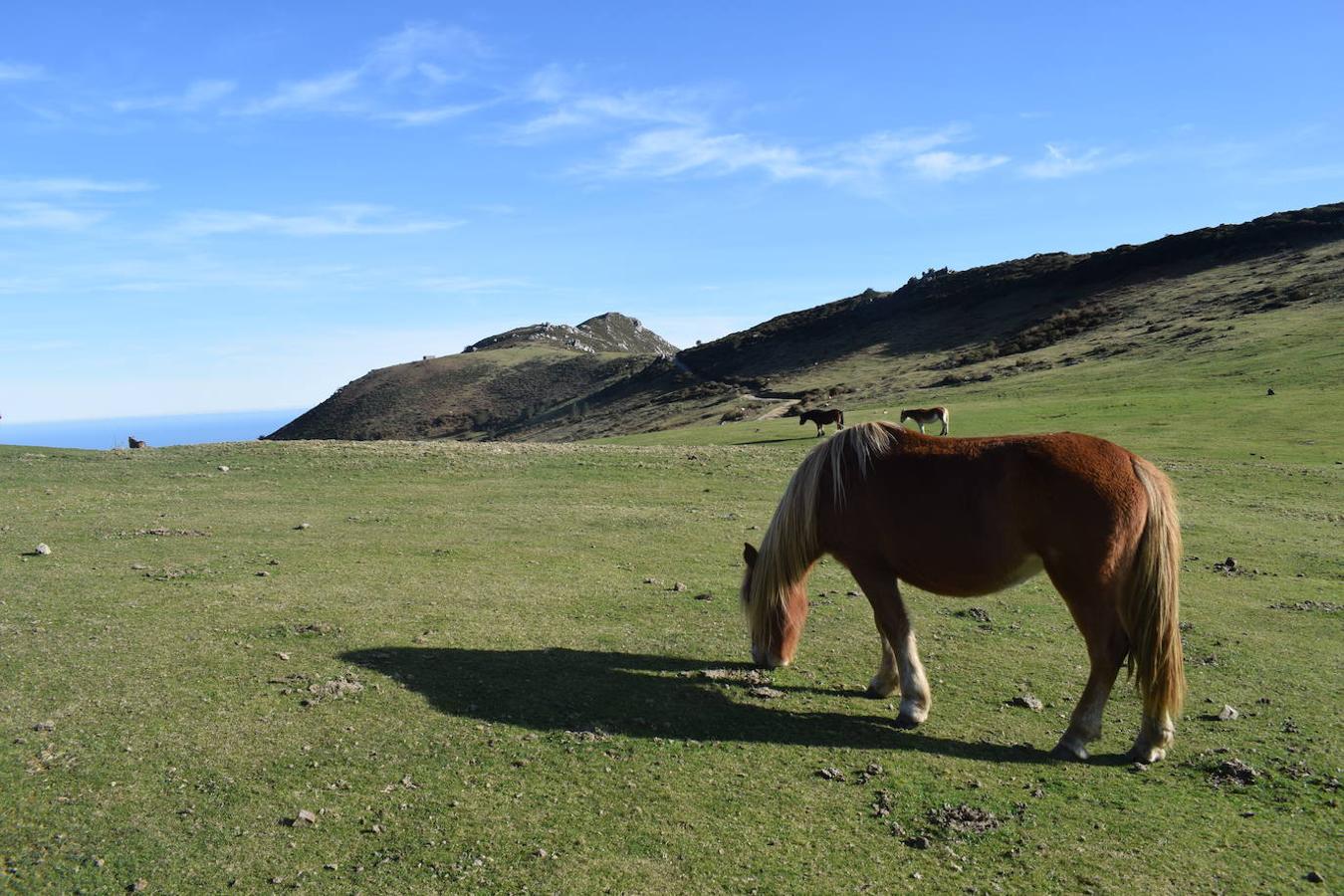 Fotos: La costa y los Picos de Europa a pie de cumbre