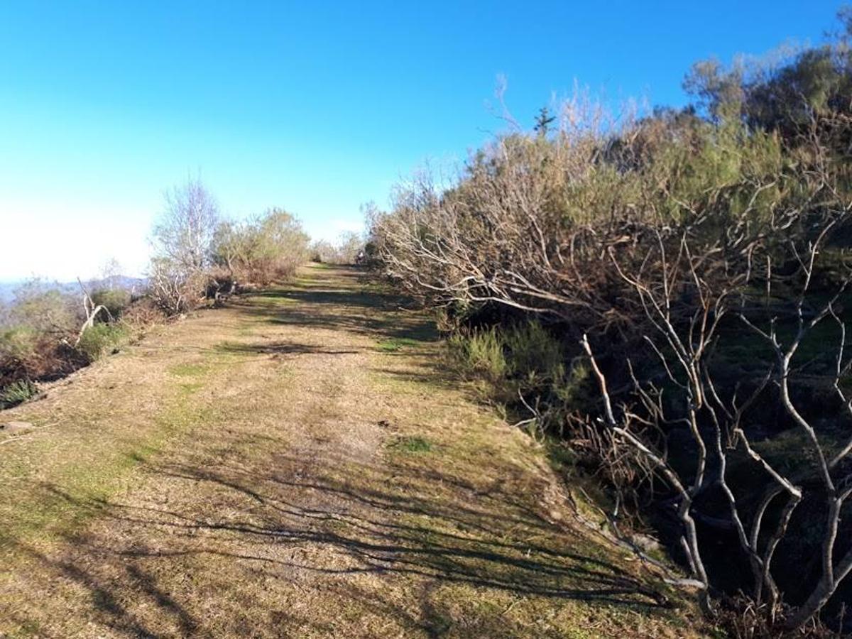 Fotos: El paisaje restaurado de Coto Bello a golpe de pedal