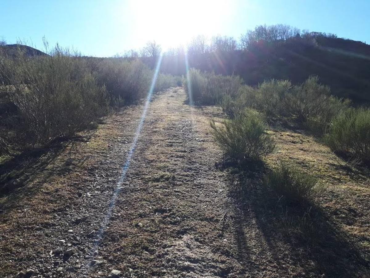 Fotos: El paisaje restaurado de Coto Bello a golpe de pedal