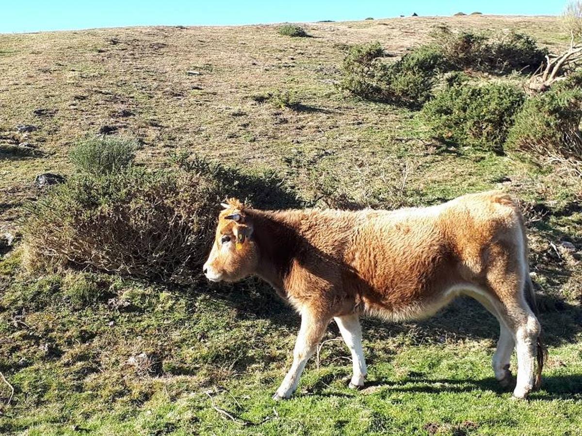 Fotos: El paisaje restaurado de Coto Bello a golpe de pedal