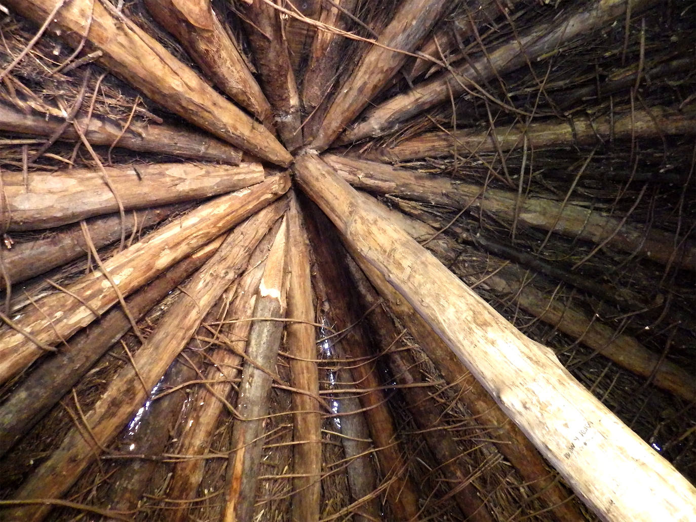 Imágenes reunidas en el concurso Arqueofoto realizado por los museos arqueológicos de Gijón con la colaboración de EL COMERCIO para difundir el patrimonio de la ciudad.