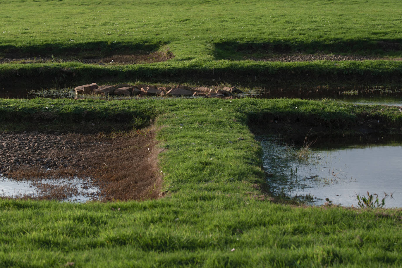 Imágenes reunidas en el concurso Arqueofoto realizado por los museos arqueológicos de Gijón con la colaboración de EL COMERCIO para difundir el patrimonio de la ciudad.