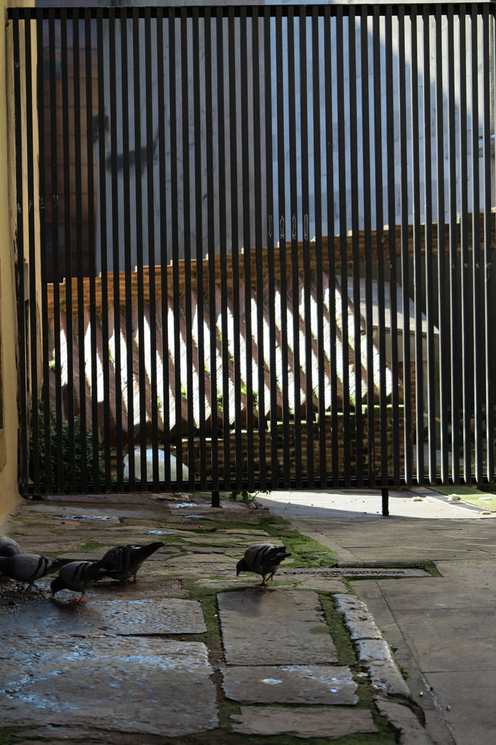 Imágenes reunidas en el concurso Arqueofoto realizado por los museos arqueológicos de Gijón con la colaboración de EL COMERCIO para difundir el patrimonio de la ciudad.