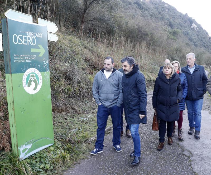 El Principado ha diseñado el proyecto de adecuación integral de la Senda del Oso, una actuación que cuenta con cerca de 200.000 euros de presupuesto y cuya primera fase estará rematada en Semana Santa.