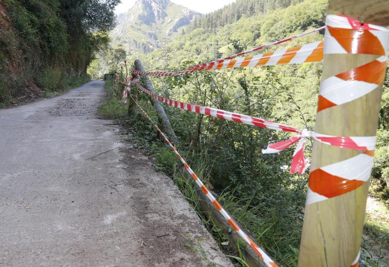 El Principado ha diseñado el proyecto de adecuación integral de la Senda del Oso, una actuación que cuenta con cerca de 200.000 euros de presupuesto y cuya primera fase estará rematada en Semana Santa.