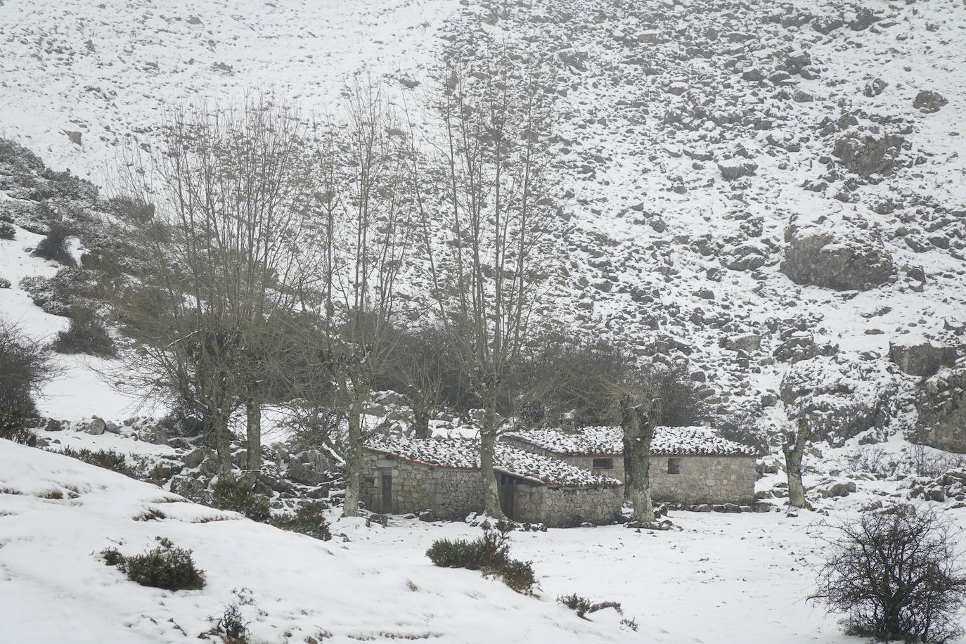 Muchas personas se decidieron a subir a los Lagos de Covadonga llamados por la nieve caída en la noche