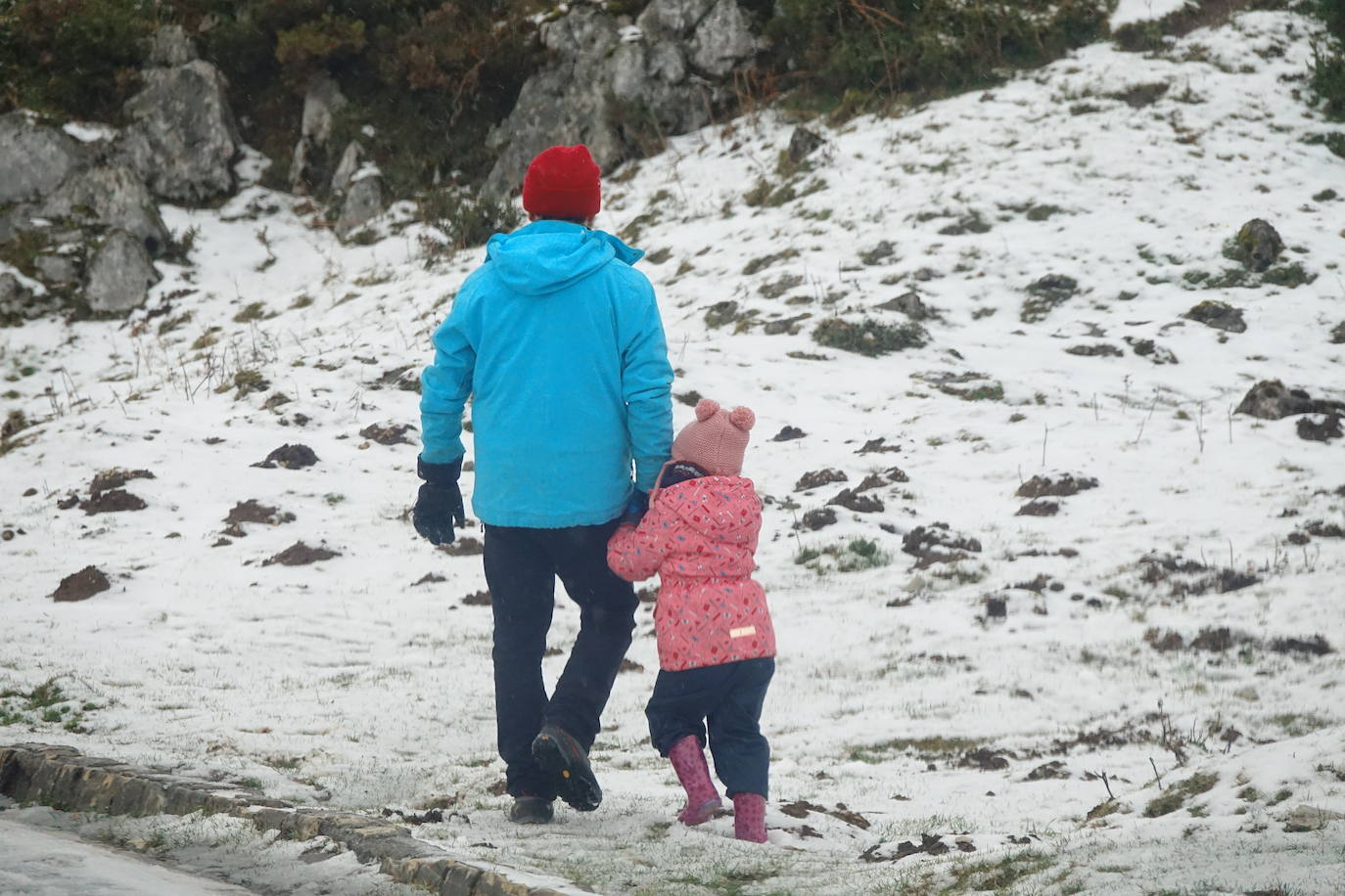 Muchas personas se decidieron a subir a los Lagos de Covadonga llamados por la nieve caída en la noche