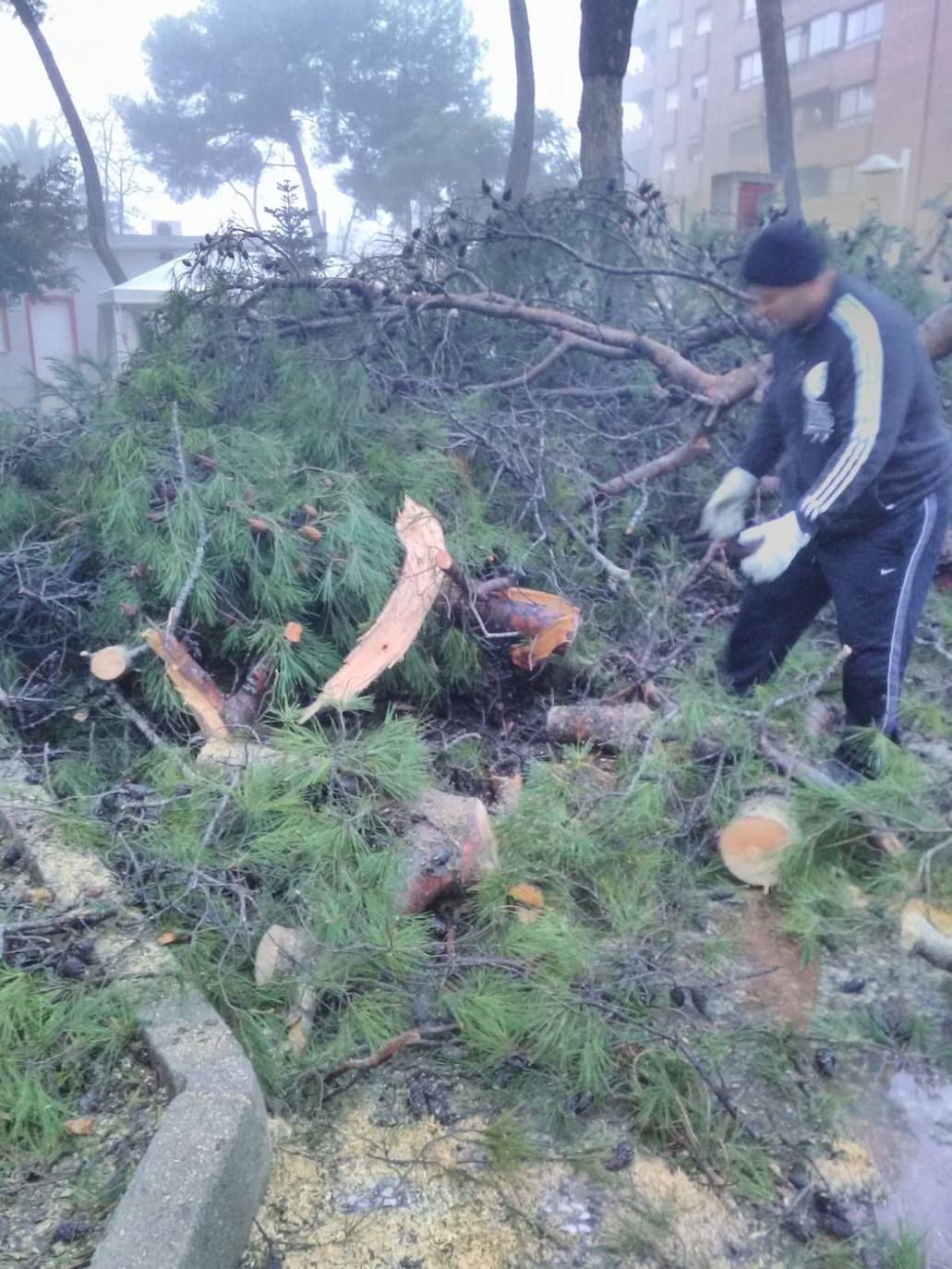 El temporal amaina tras dejar a su paso todo el litoral destrozado y lluvias de 800 litros, granizadas cerca del mar, desbordamiento de ríos, olas de hasta ocho metros, nevadas copiosas de casi 90 centímetros de espesor, rescates, pueblos aislados...