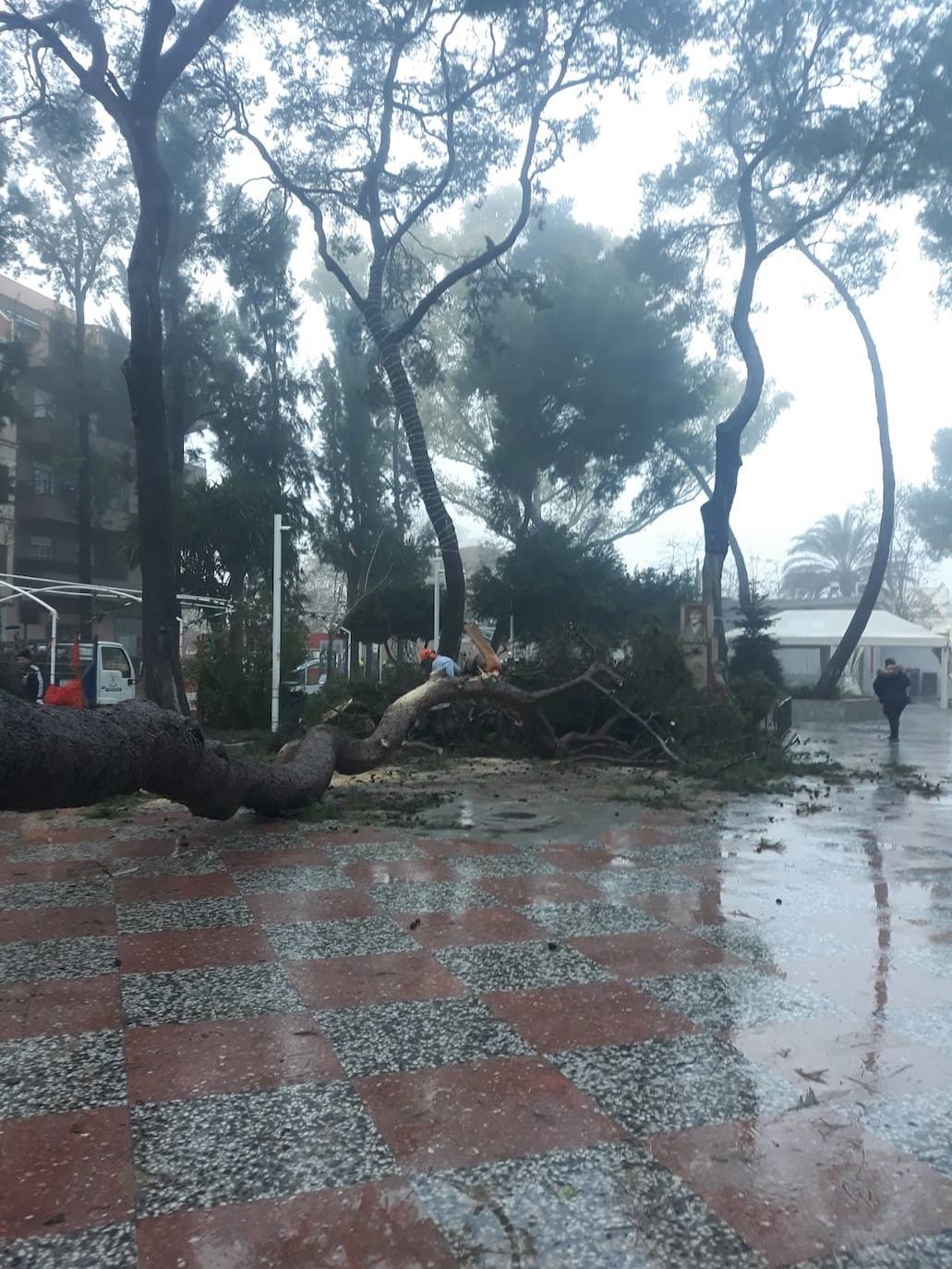El temporal amaina tras dejar a su paso todo el litoral destrozado y lluvias de 800 litros, granizadas cerca del mar, desbordamiento de ríos, olas de hasta ocho metros, nevadas copiosas de casi 90 centímetros de espesor, rescates, pueblos aislados...