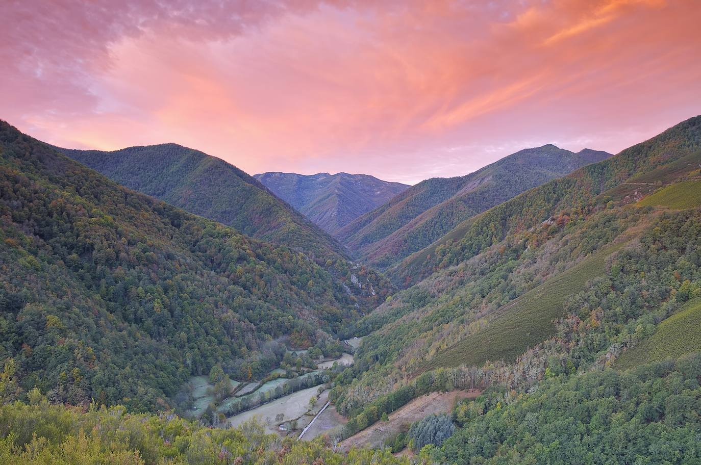 Bosque de Muniellos, Asturias. 