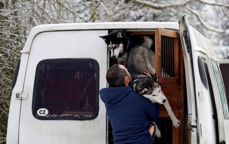 Alrededor de setecientos perros y más de cien 'mushers' han participado en la carrera 'Sedivackuv Long 2020', que se celebra entre el 21 y 25 de enero en Orlicke Mountain (República Checa). Se trata de la competición más larga del país en su categoría y una de las más duras de Europa. 