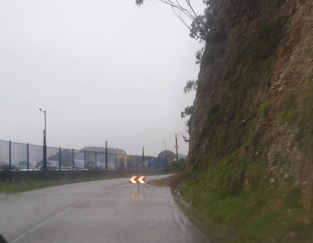 El argayo originado ayer en la carretera AS-329. 