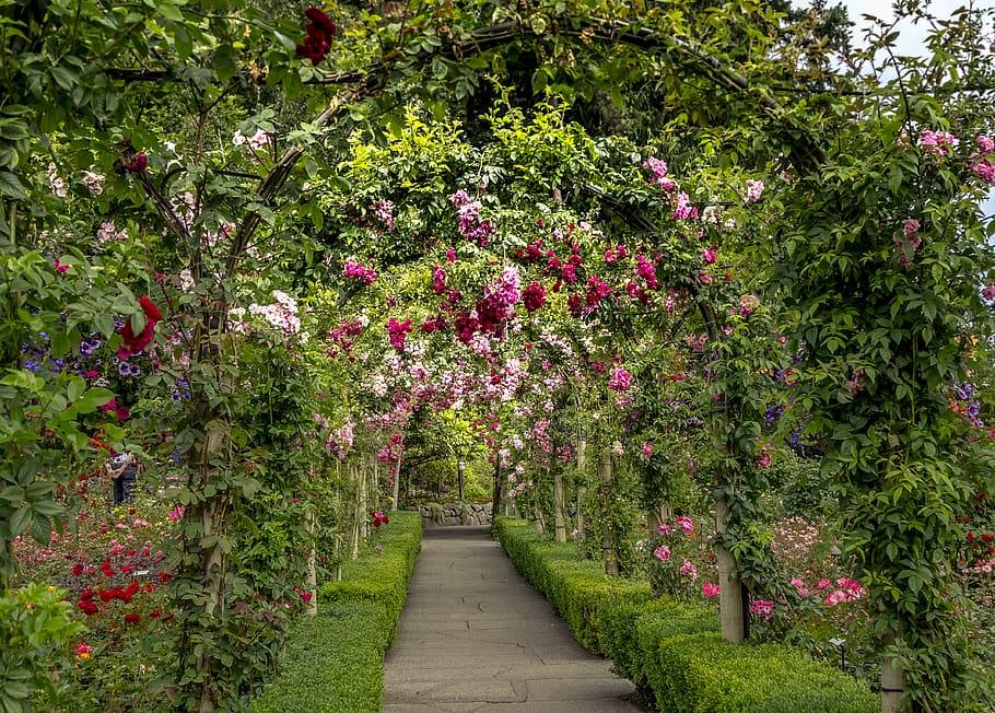 Jardines Butchart (Canadá)