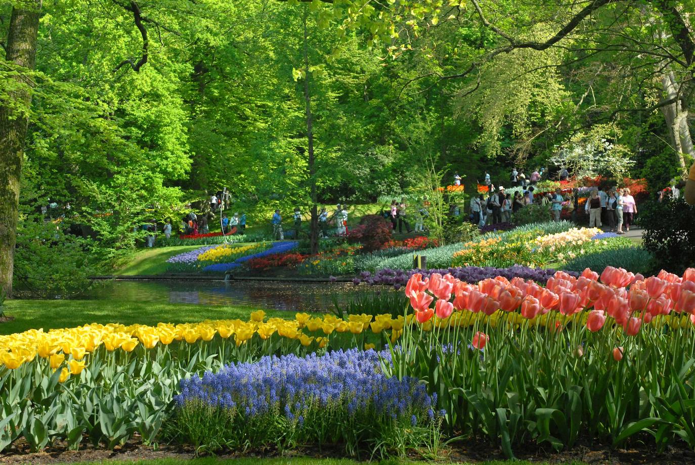 Jardines de Keukenhof (Holanda)