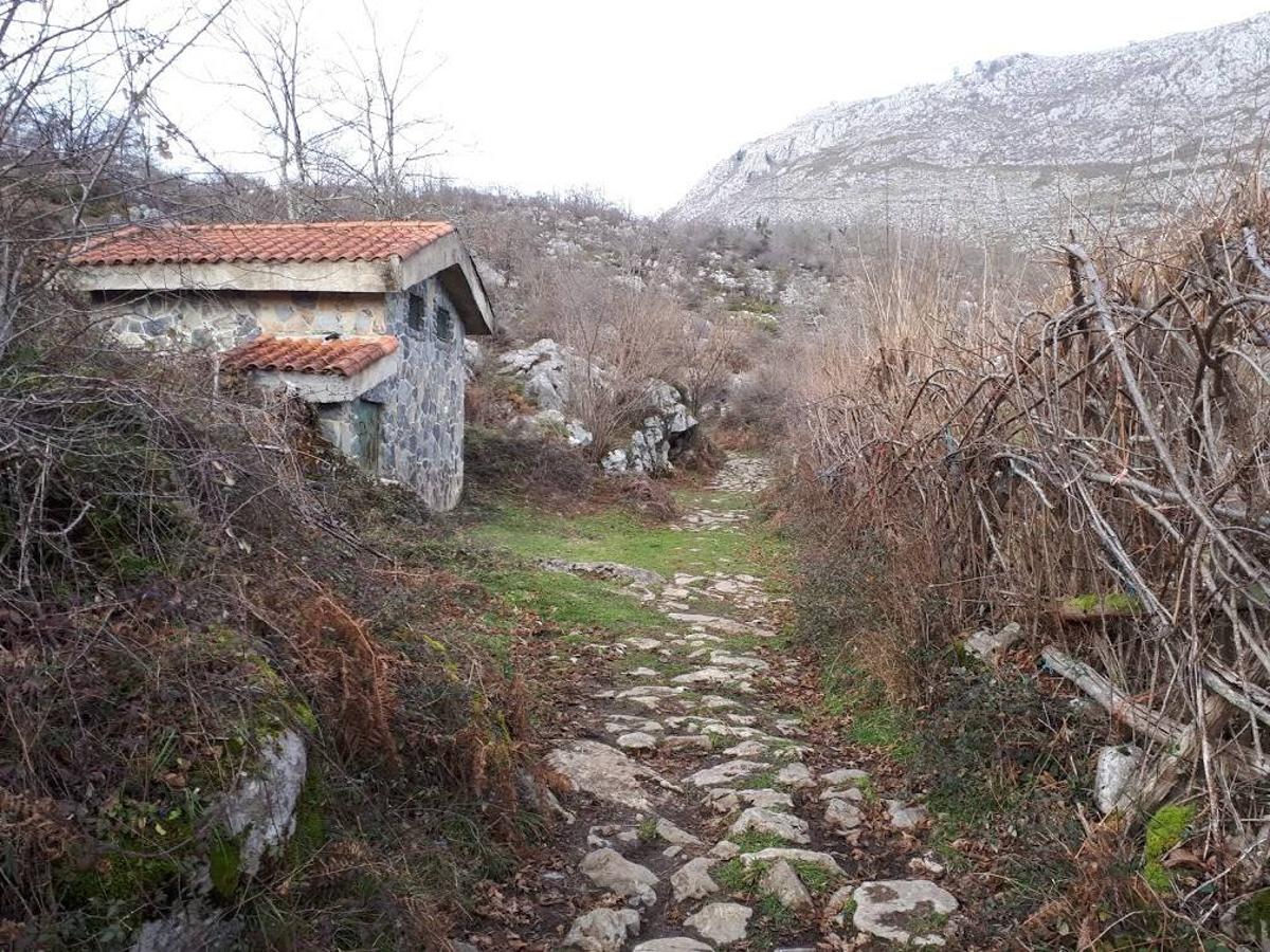 Fotos: Un recorrido histórico por Rioseco