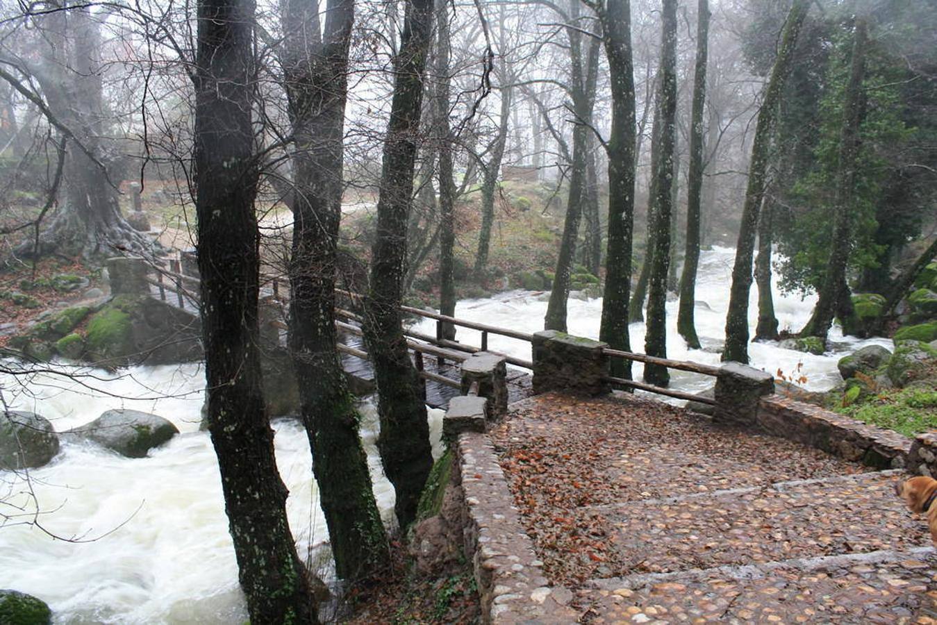 PIEDRALAVES (Ávila)