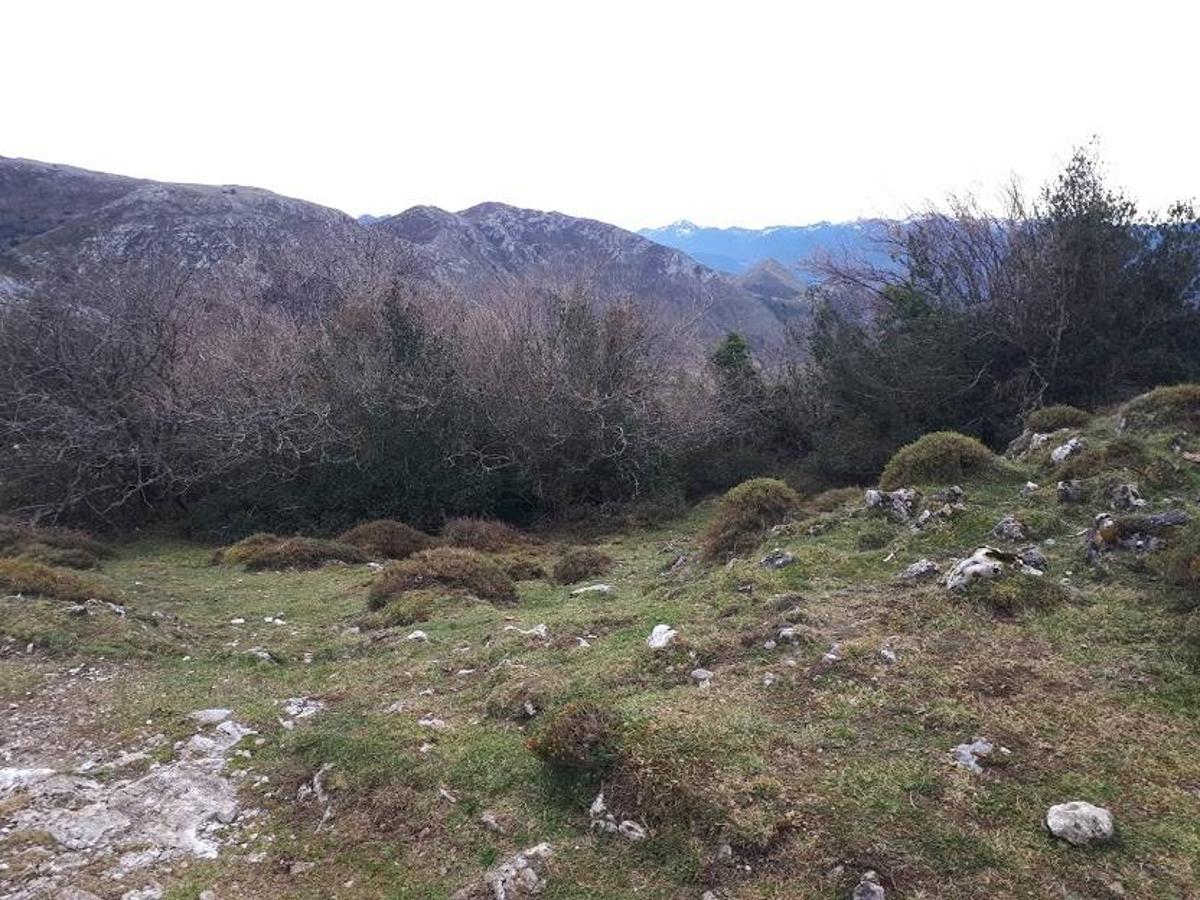 Fotos: Una caminata por Marabio, entre pastizales, cumbres y cabañas