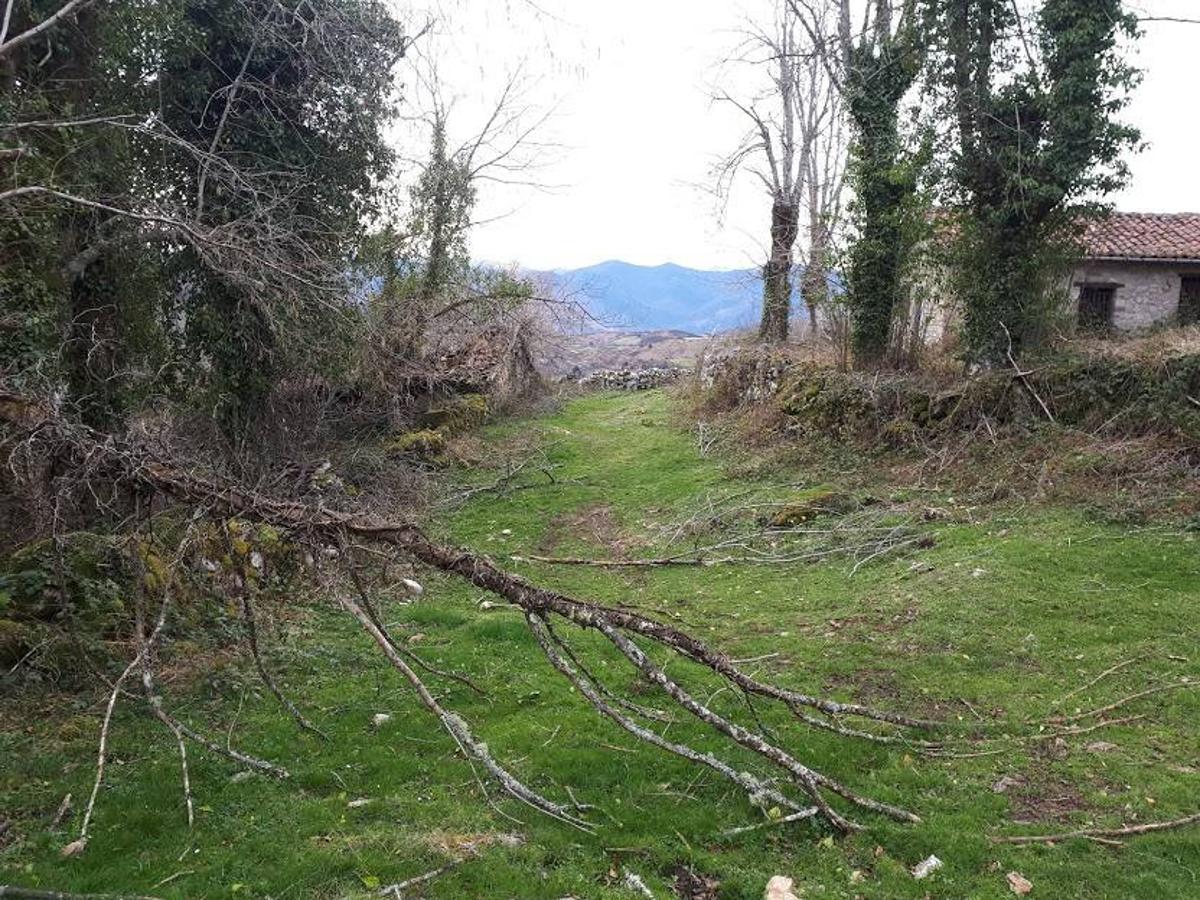 Fotos: Una caminata por Marabio, entre pastizales, cumbres y cabañas