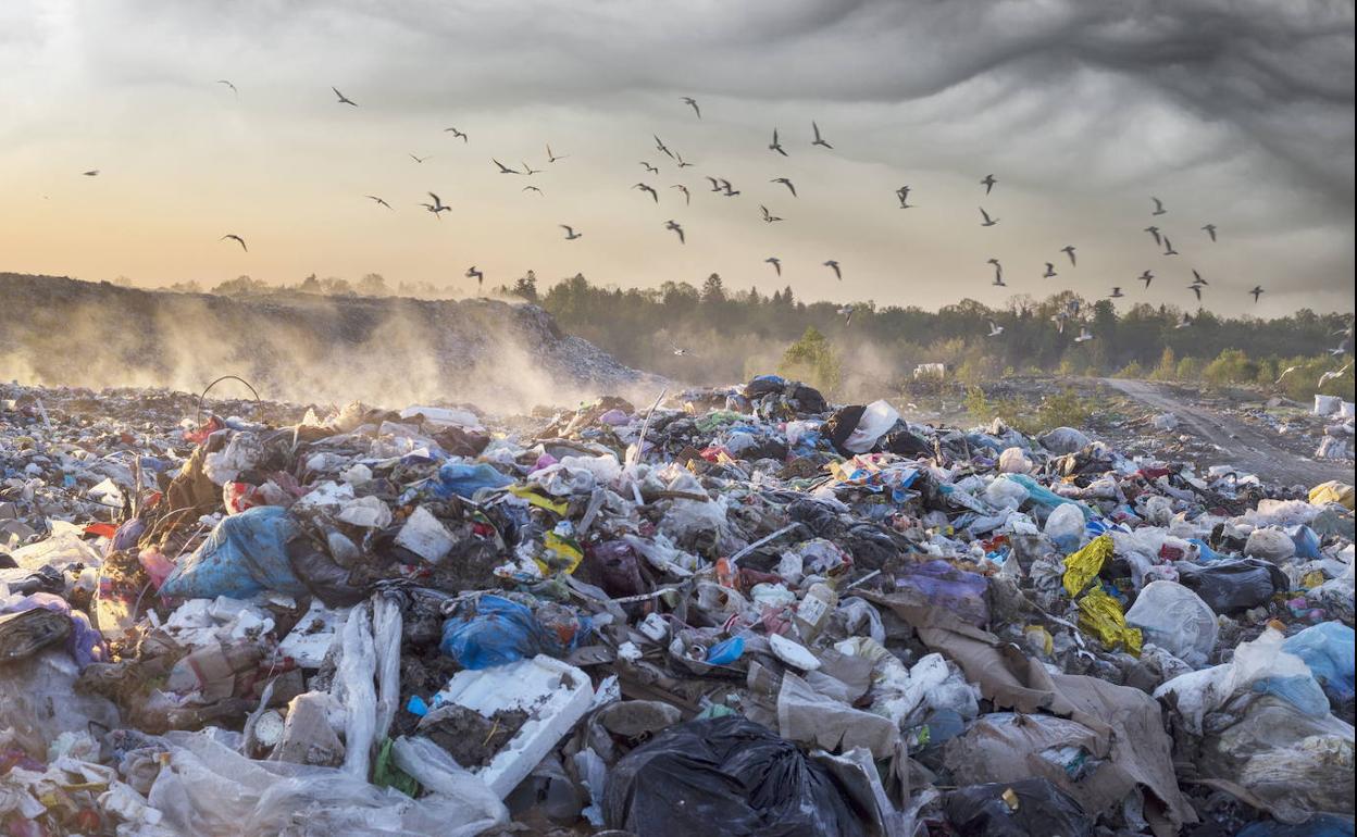 Un enorme campo de basura urbana en Ucrania. 