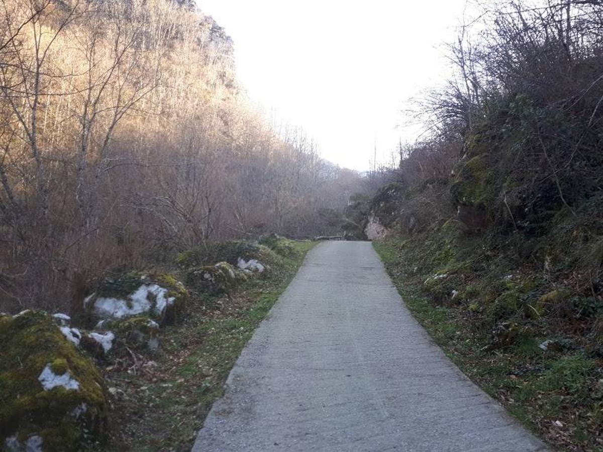 Te invitamos a recorrer con nosotros esta maravillosa ruta en pleno Parque Natural de Redes, que parte desde el pueblo de Caleao y que transcurre junto al río Los Arrudos y a su desfiladero. Esta ruta nos conducirá también por el frondoso hayedo de Los Arrobellaos, la majada de Roxecu, la majada de Llede, la de los Moyones, el Lago Ubales (una laguna de montaña en la que habitan tritones y varias plantas curiosas), el antiguo Camín de Castilla o las cabañas de Pasaoriu, entre otros. Una senda con encanto perfecta para disfrutar del senderismo y la naturaleza.