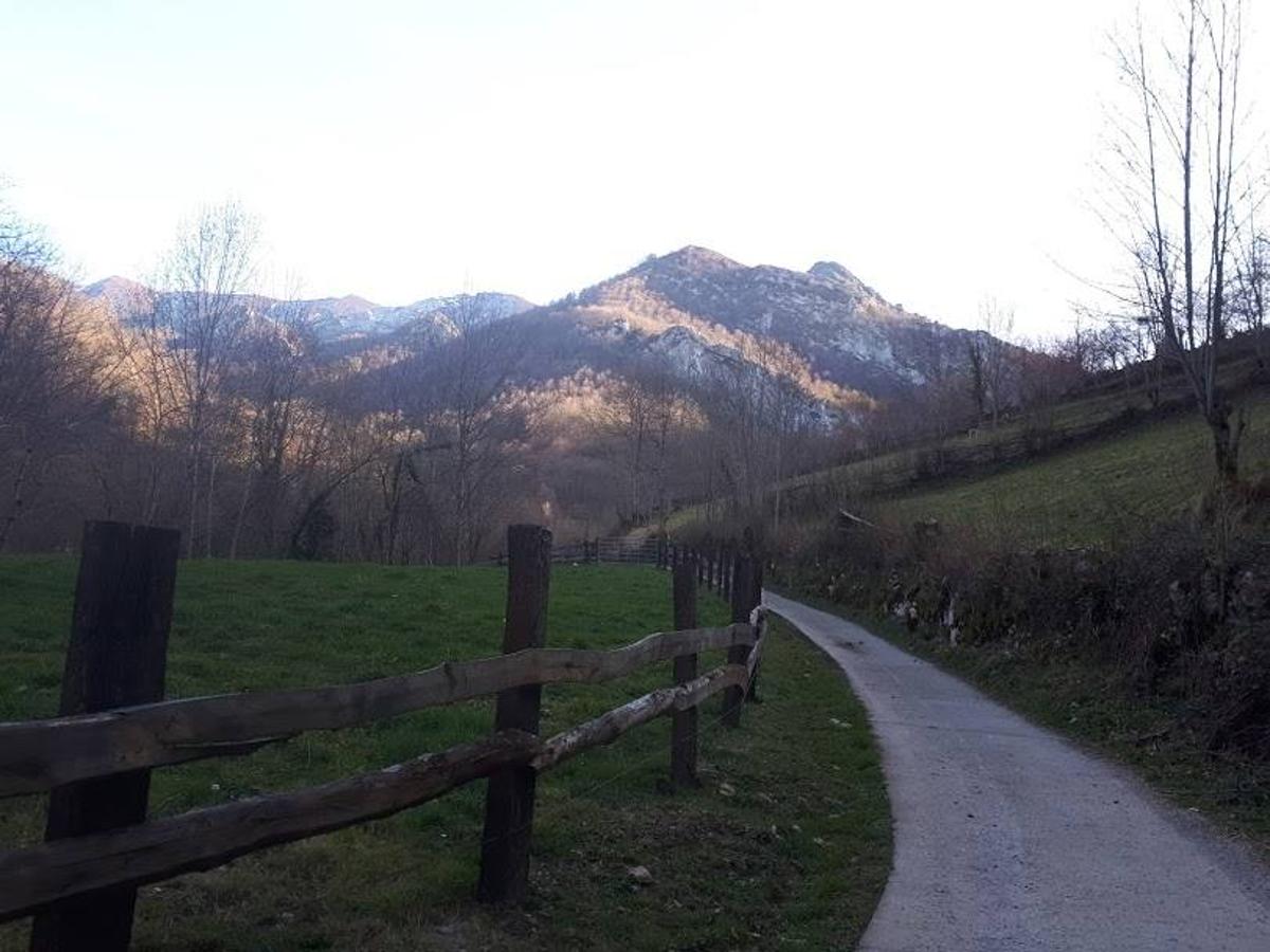 Te invitamos a recorrer con nosotros esta maravillosa ruta en pleno Parque Natural de Redes, que parte desde el pueblo de Caleao y que transcurre junto al río Los Arrudos y a su desfiladero. Esta ruta nos conducirá también por el frondoso hayedo de Los Arrobellaos, la majada de Roxecu, la majada de Llede, la de los Moyones, el Lago Ubales (una laguna de montaña en la que habitan tritones y varias plantas curiosas), el antiguo Camín de Castilla o las cabañas de Pasaoriu, entre otros. Una senda con encanto perfecta para disfrutar del senderismo y la naturaleza.