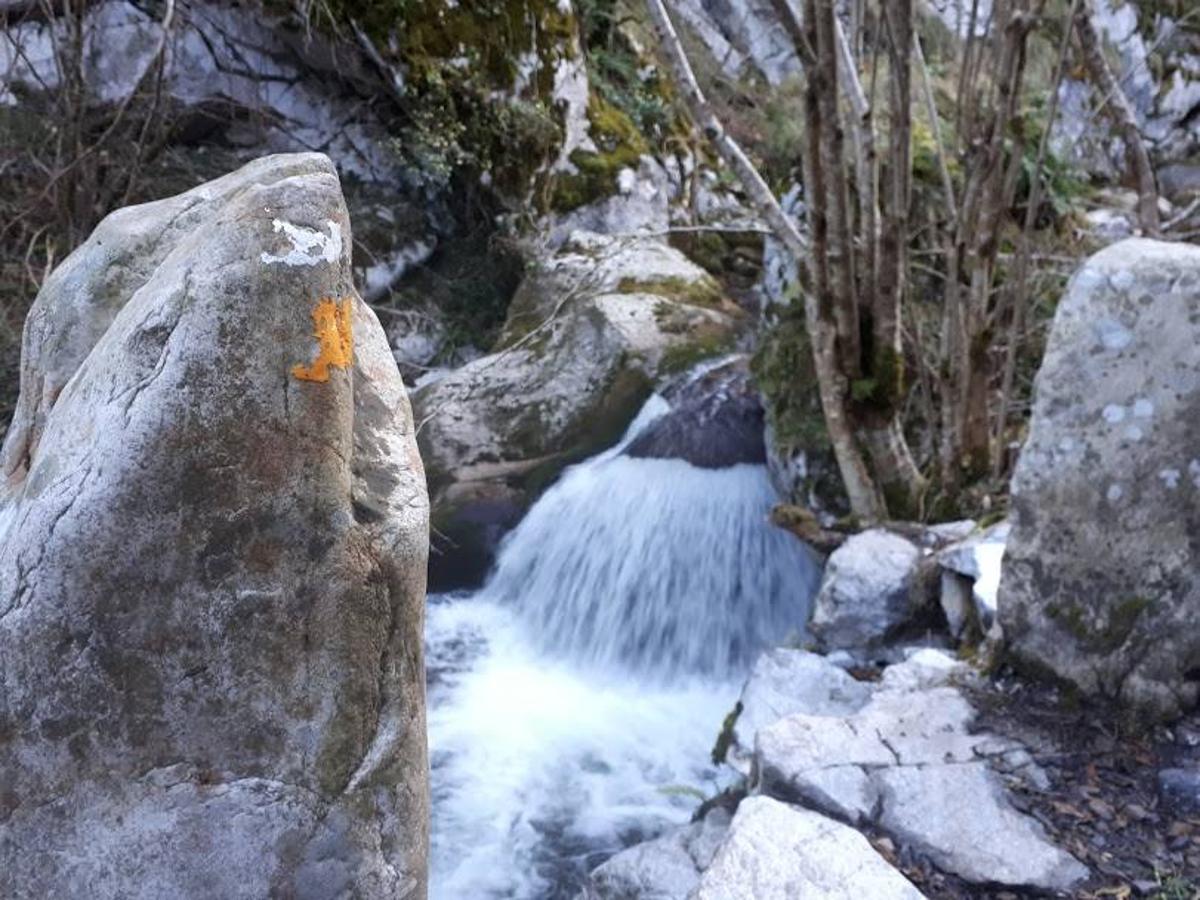 Te invitamos a recorrer con nosotros esta maravillosa ruta en pleno Parque Natural de Redes, que parte desde el pueblo de Caleao y que transcurre junto al río Los Arrudos y a su desfiladero. Esta ruta nos conducirá también por el frondoso hayedo de Los Arrobellaos, la majada de Roxecu, la majada de Llede, la de los Moyones, el Lago Ubales (una laguna de montaña en la que habitan tritones y varias plantas curiosas), el antiguo Camín de Castilla o las cabañas de Pasaoriu, entre otros. Una senda con encanto perfecta para disfrutar del senderismo y la naturaleza.