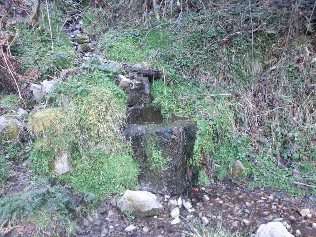 Te invitamos a recorrer con nosotros esta maravillosa ruta en pleno Parque Natural de Redes, que parte desde el pueblo de Caleao y que transcurre junto al río Los Arrudos y a su desfiladero. Esta ruta nos conducirá también por el frondoso hayedo de Los Arrobellaos, la majada de Roxecu, la majada de Llede, la de los Moyones, el Lago Ubales (una laguna de montaña en la que habitan tritones y varias plantas curiosas), el antiguo Camín de Castilla o las cabañas de Pasaoriu, entre otros. Una senda con encanto perfecta para disfrutar del senderismo y la naturaleza.