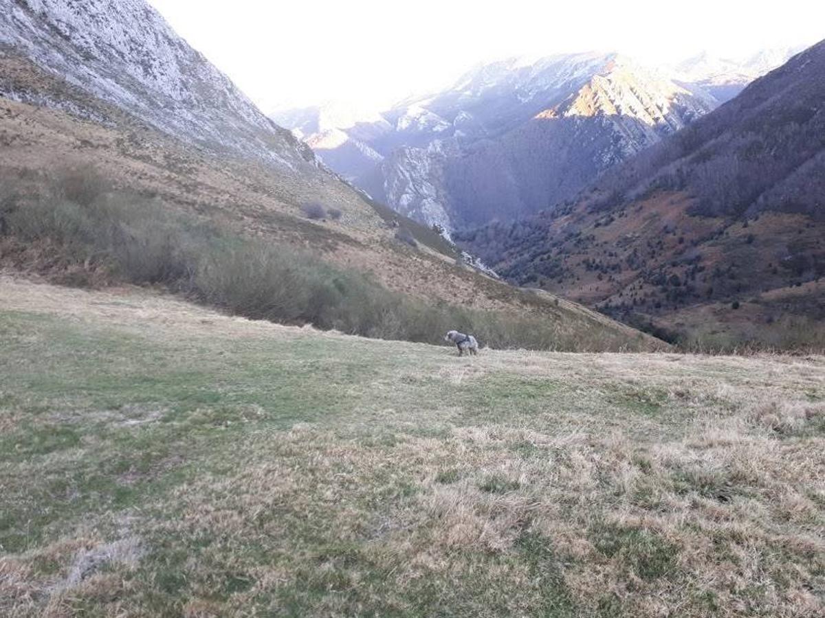 Te invitamos a recorrer con nosotros esta maravillosa ruta en pleno Parque Natural de Redes, que parte desde el pueblo de Caleao y que transcurre junto al río Los Arrudos y a su desfiladero. Esta ruta nos conducirá también por el frondoso hayedo de Los Arrobellaos, la majada de Roxecu, la majada de Llede, la de los Moyones, el Lago Ubales (una laguna de montaña en la que habitan tritones y varias plantas curiosas), el antiguo Camín de Castilla o las cabañas de Pasaoriu, entre otros. Una senda con encanto perfecta para disfrutar del senderismo y la naturaleza.