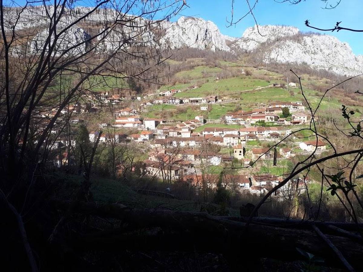 Te invitamos a recorrer con nosotros esta maravillosa ruta en pleno Parque Natural de Redes, que parte desde el pueblo de Caleao y que transcurre junto al río Los Arrudos y a su desfiladero. Esta ruta nos conducirá también por el frondoso hayedo de Los Arrobellaos, la majada de Roxecu, la majada de Llede, la de los Moyones, el Lago Ubales (una laguna de montaña en la que habitan tritones y varias plantas curiosas), el antiguo Camín de Castilla o las cabañas de Pasaoriu, entre otros. Una senda con encanto perfecta para disfrutar del senderismo y la naturaleza.