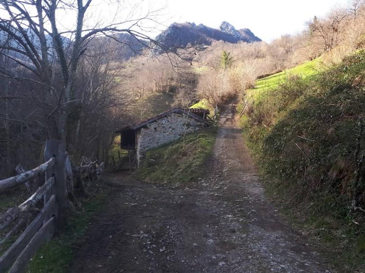 Te invitamos a recorrer con nosotros esta maravillosa ruta en pleno Parque Natural de Redes, que parte desde el pueblo de Caleao y que transcurre junto al río Los Arrudos y a su desfiladero. Esta ruta nos conducirá también por el frondoso hayedo de Los Arrobellaos, la majada de Roxecu, la majada de Llede, la de los Moyones, el Lago Ubales (una laguna de montaña en la que habitan tritones y varias plantas curiosas), el antiguo Camín de Castilla o las cabañas de Pasaoriu, entre otros. Una senda con encanto perfecta para disfrutar del senderismo y la naturaleza.